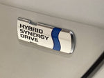 RAIZE HYBRID