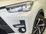 RAIZE HYBRID