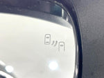 RAIZE HYBRID