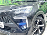 RAIZE HYBRID