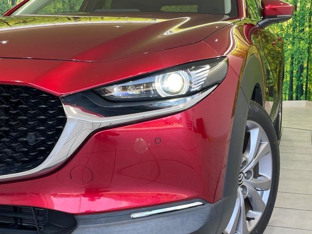 CX-30