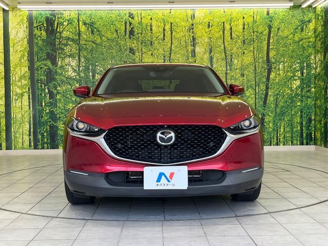 CX-30