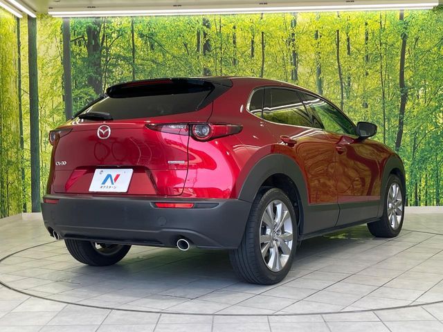CX-30