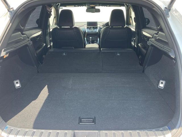 LEXUS NX200t