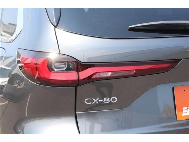 CX-80