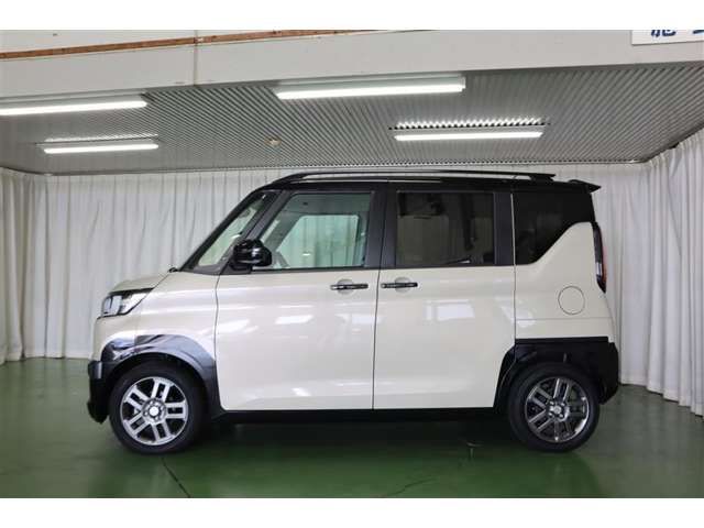 DELICA MINI
