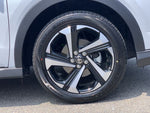RAIZE HYBRID