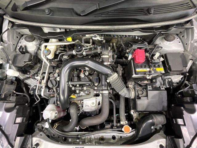 RAIZE