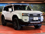 LANDCRUISER 250