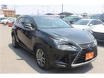 LEXUS NX300h
