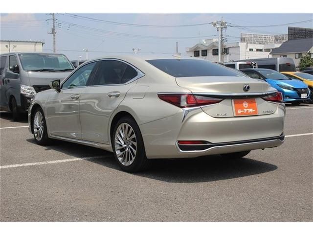LEXUS ES300h