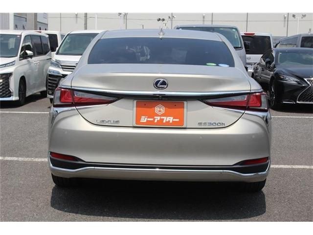LEXUS ES300h