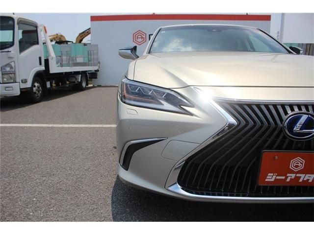 LEXUS ES300h