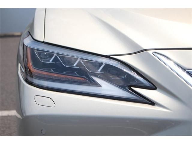 LEXUS ES300h