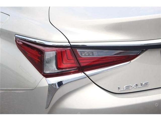 LEXUS ES300h