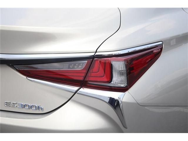 LEXUS ES300h