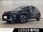 LEXUS UX250h