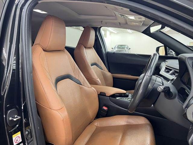 LEXUS UX250h