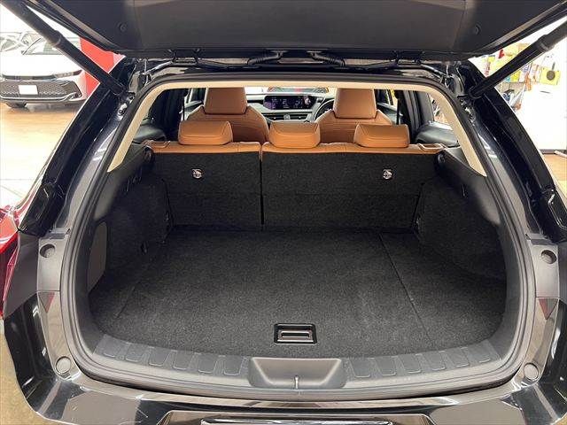 LEXUS UX250h
