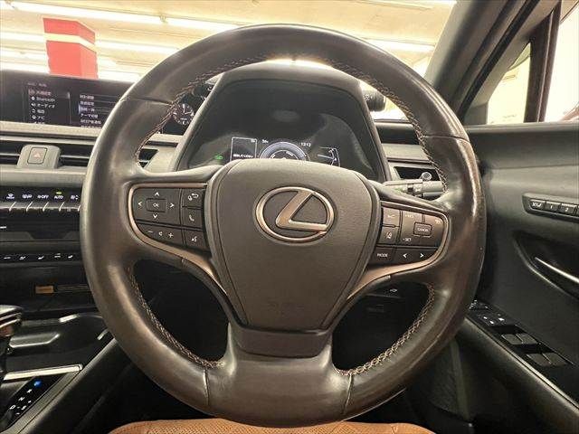 LEXUS UX250h