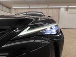 LEXUS UX250h