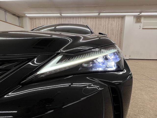 LEXUS UX250h
