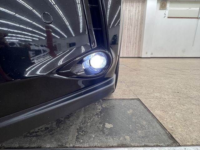 LEXUS UX250h