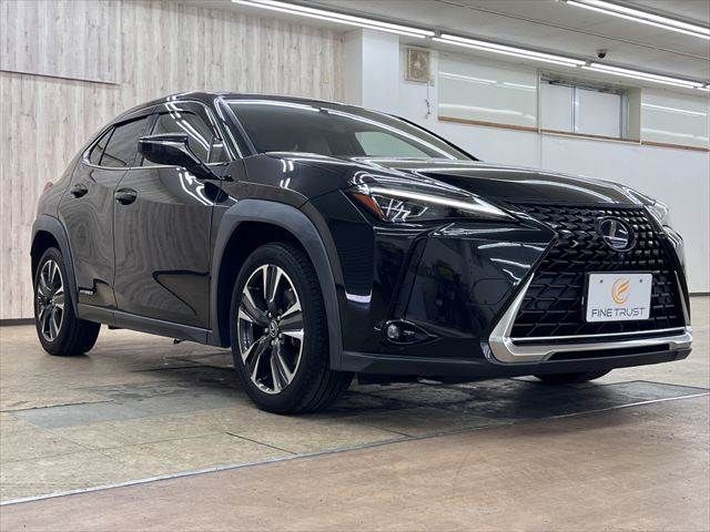 LEXUS UX250h