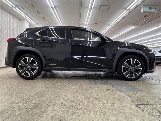 LEXUS UX250h