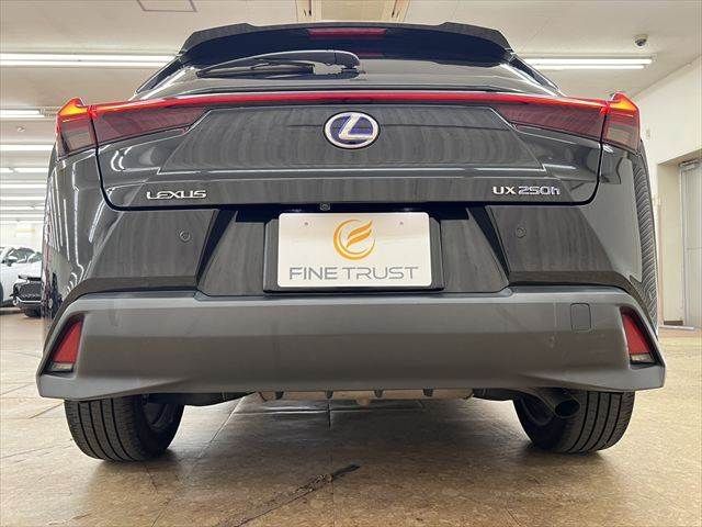 LEXUS UX250h