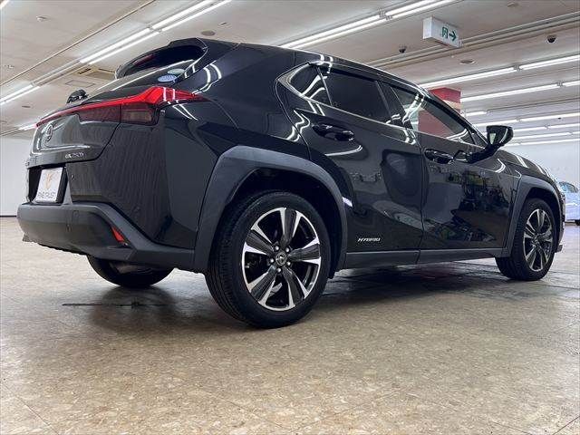 LEXUS UX250h
