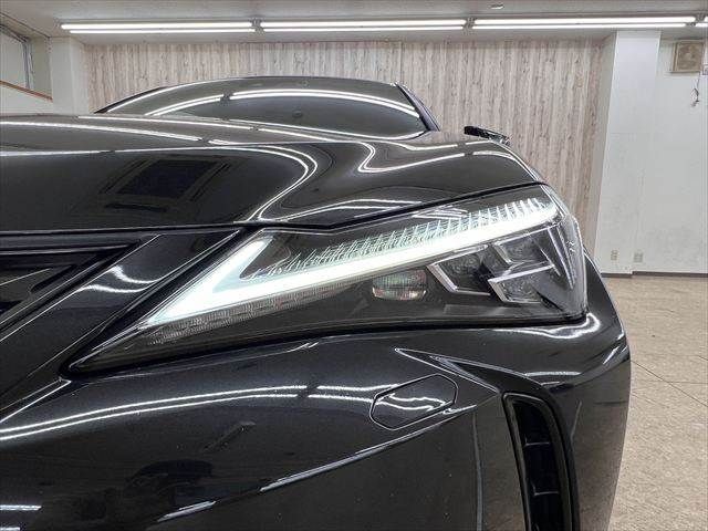 LEXUS UX250h