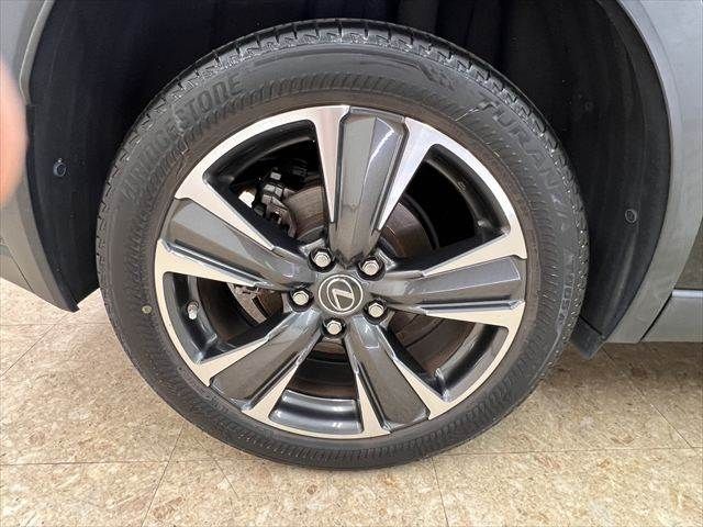 LEXUS UX250h