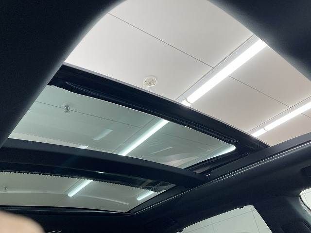 LEXUS RX500h