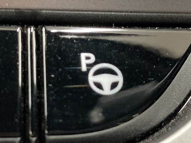 LEXUS RX500h