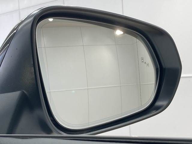 LEXUS RX500h