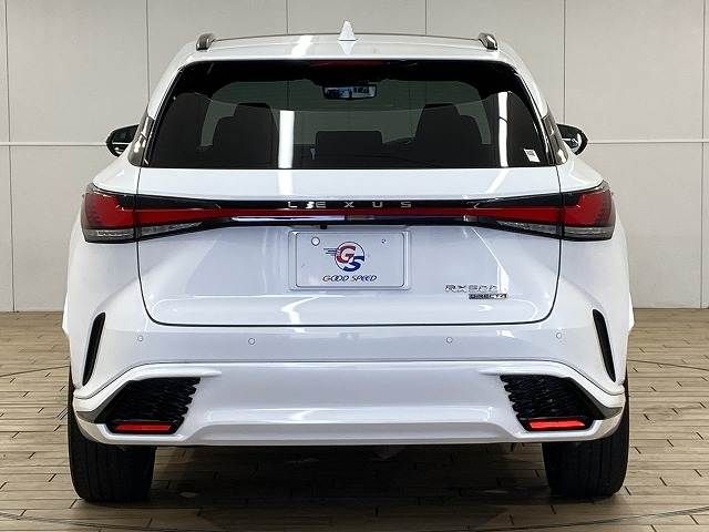 LEXUS RX500h
