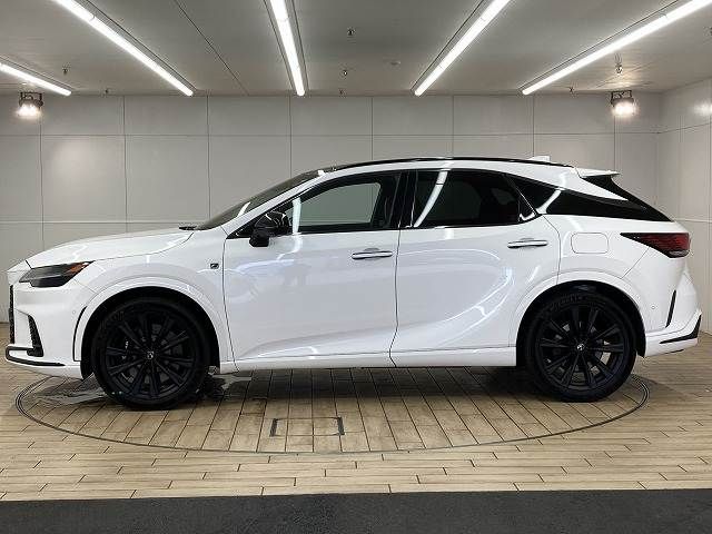 LEXUS RX500h