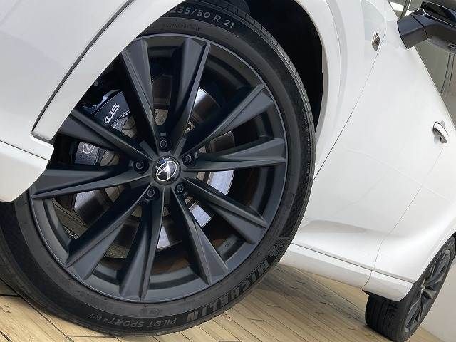 LEXUS RX500h