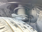 RAIZE