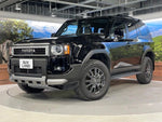 LANDCRUISER 250