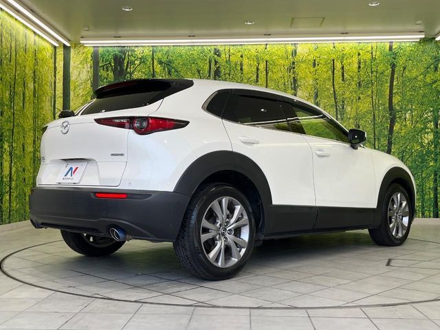 CX-30