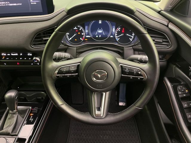 CX-30