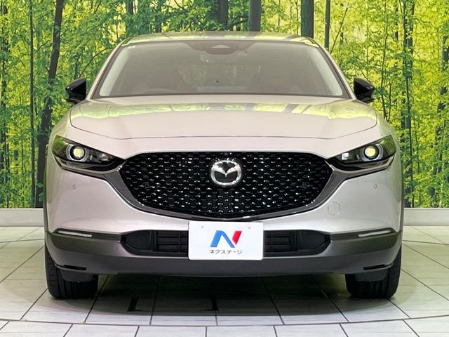 CX-30