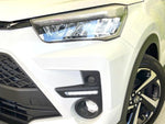 RAIZE HYBRID