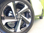 RAIZE HYBRID
