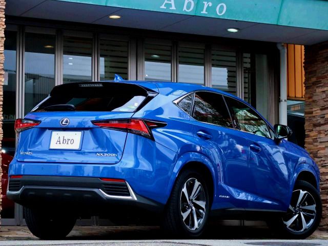 LEXUS NX300h