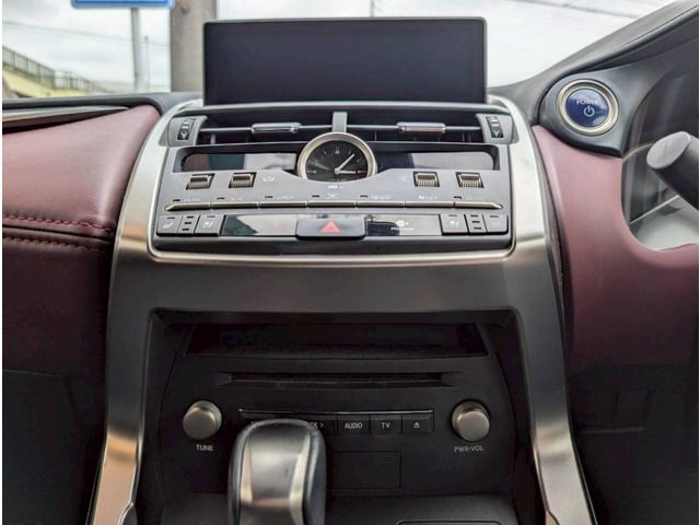 LEXUS NX300h