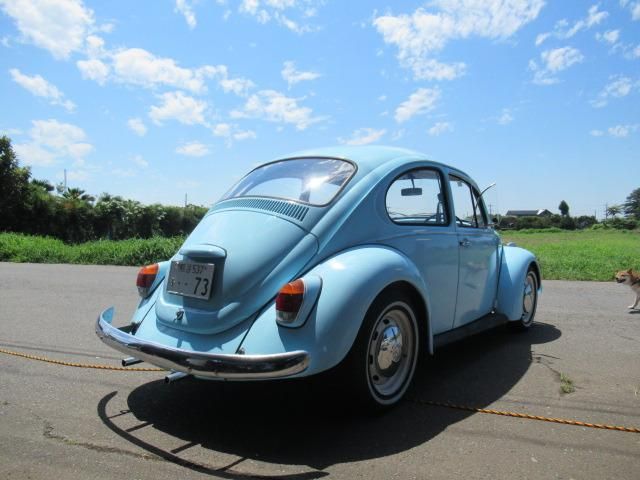 VOLKSWAGEN BEETLE