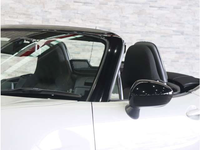 ROADSTER